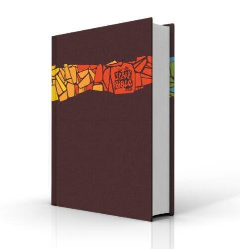 Spark Bible NRSV – Hardcover – GOOD