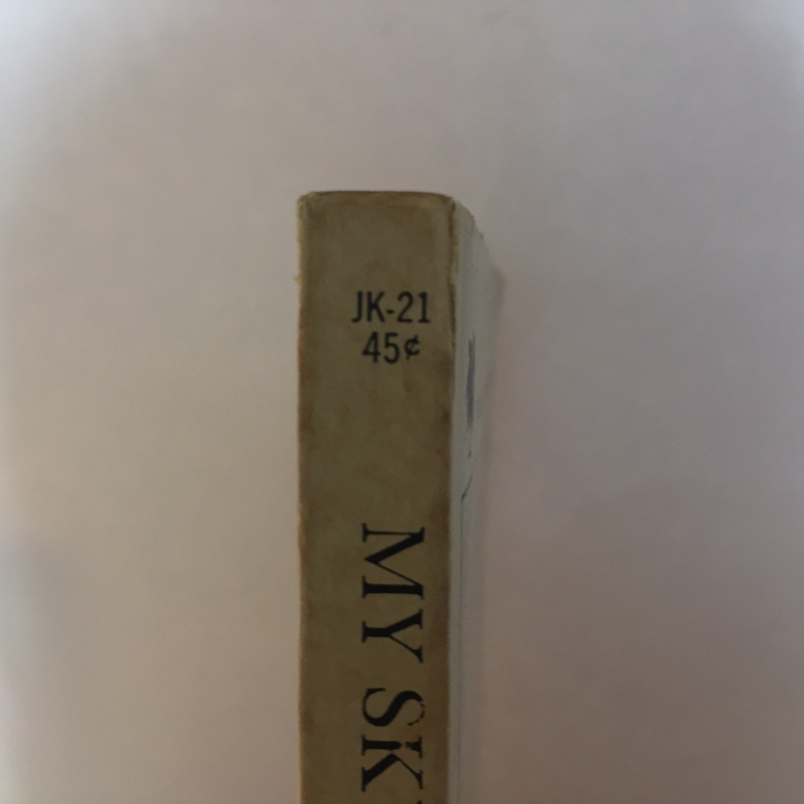 My Sky Is Blue Loula Grace Erdman 1965 Willow Books School Story Romance Book