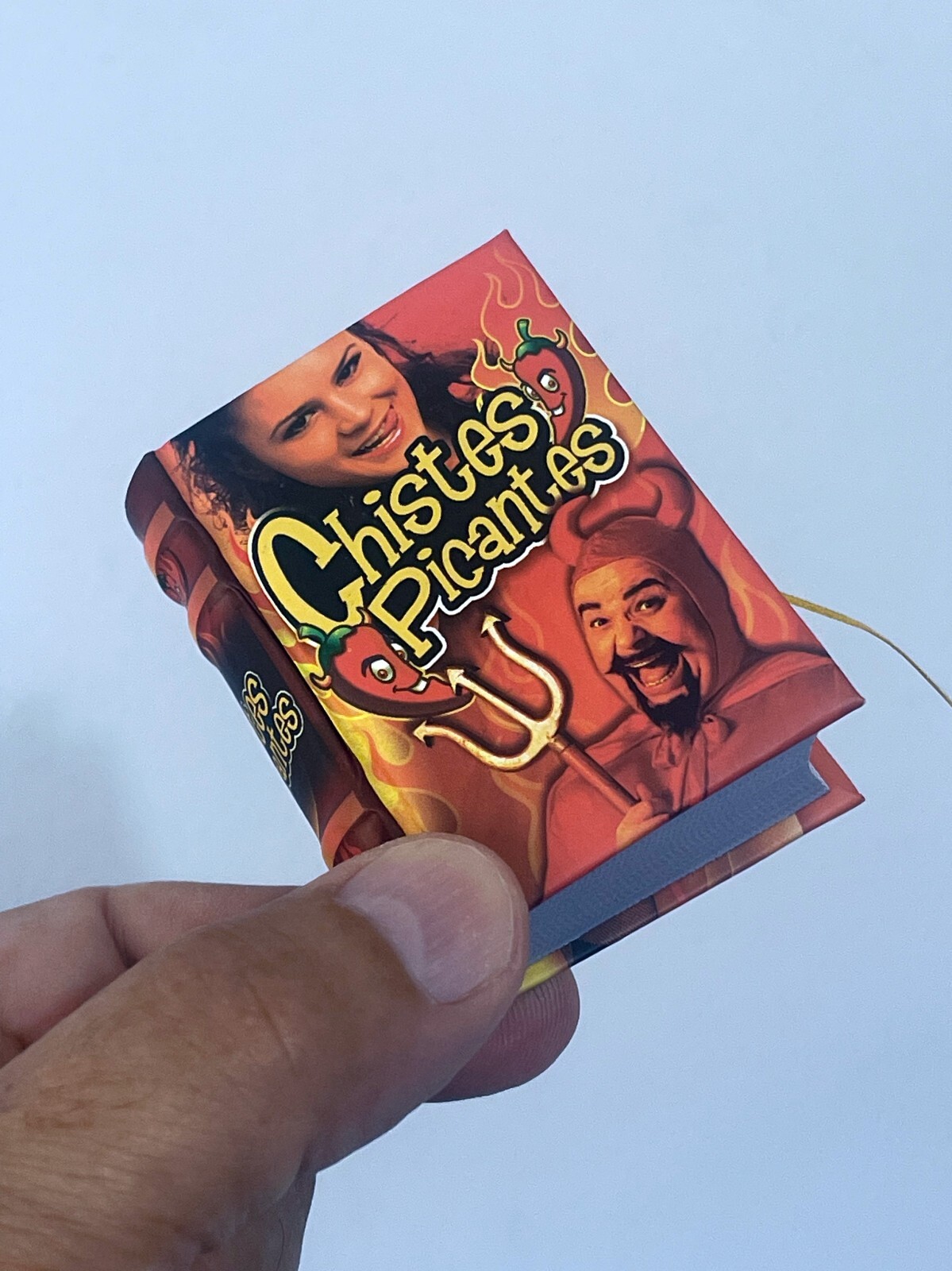 Chistes Picantes miniature book 441 pages more than 350 jokes spanish adults