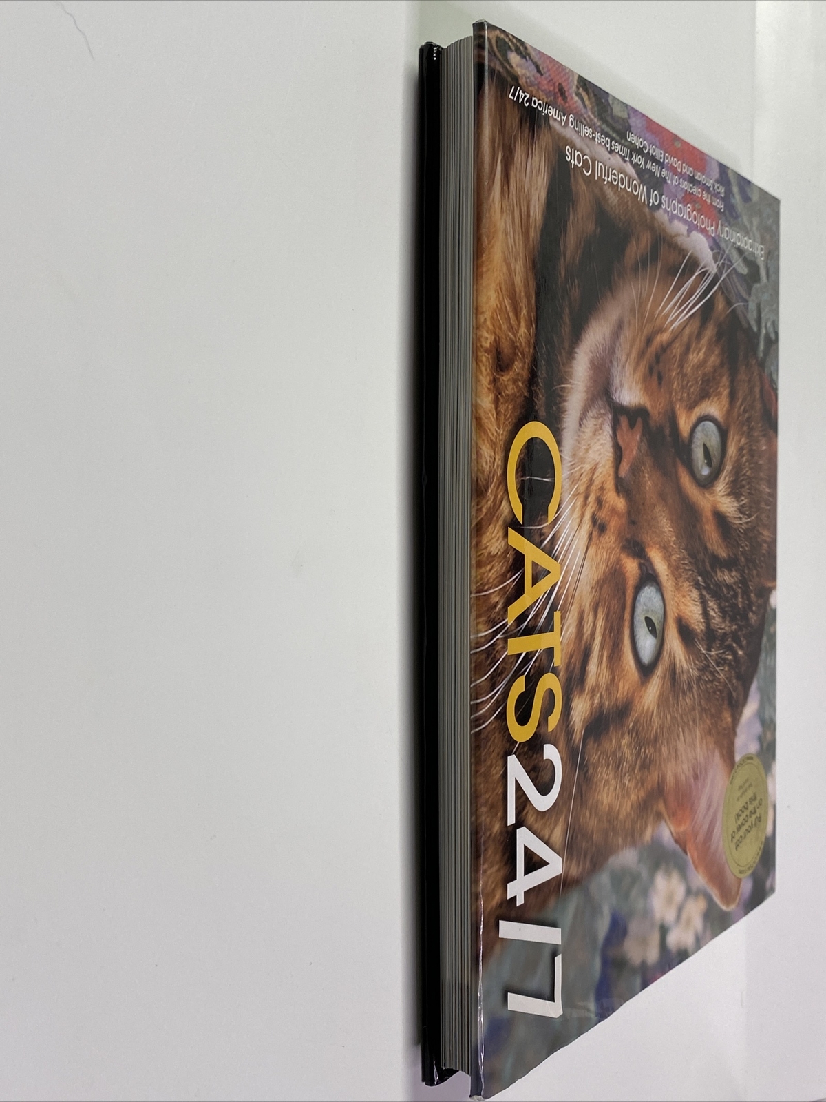 Cats 24/7 Extraordinary Photographs Of Wonderful Cats 2005 Hardcover 190 Pages