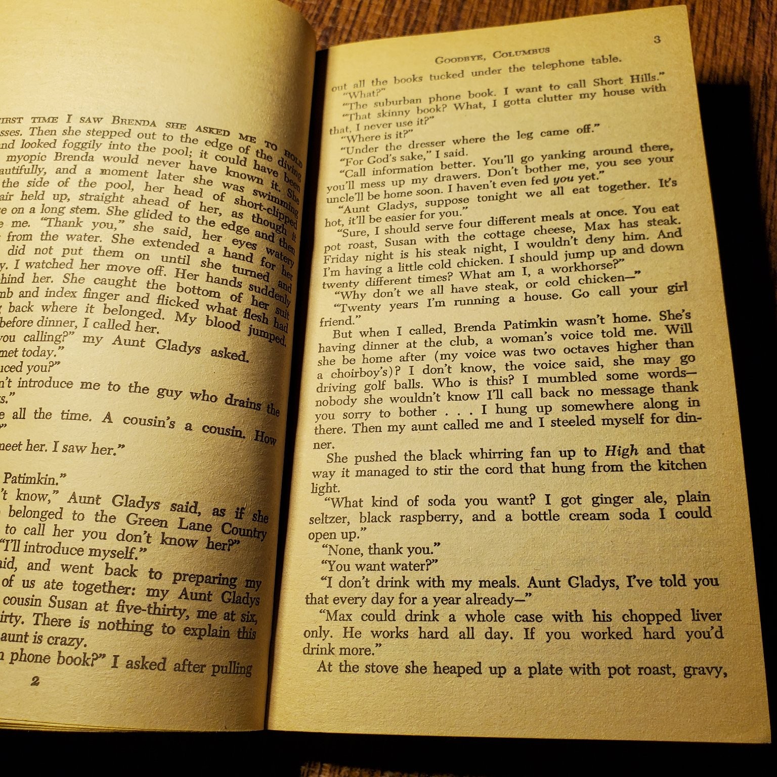 Goodbye, Columbus Philip Roth 1963 Bantam Edition Fiction Classic