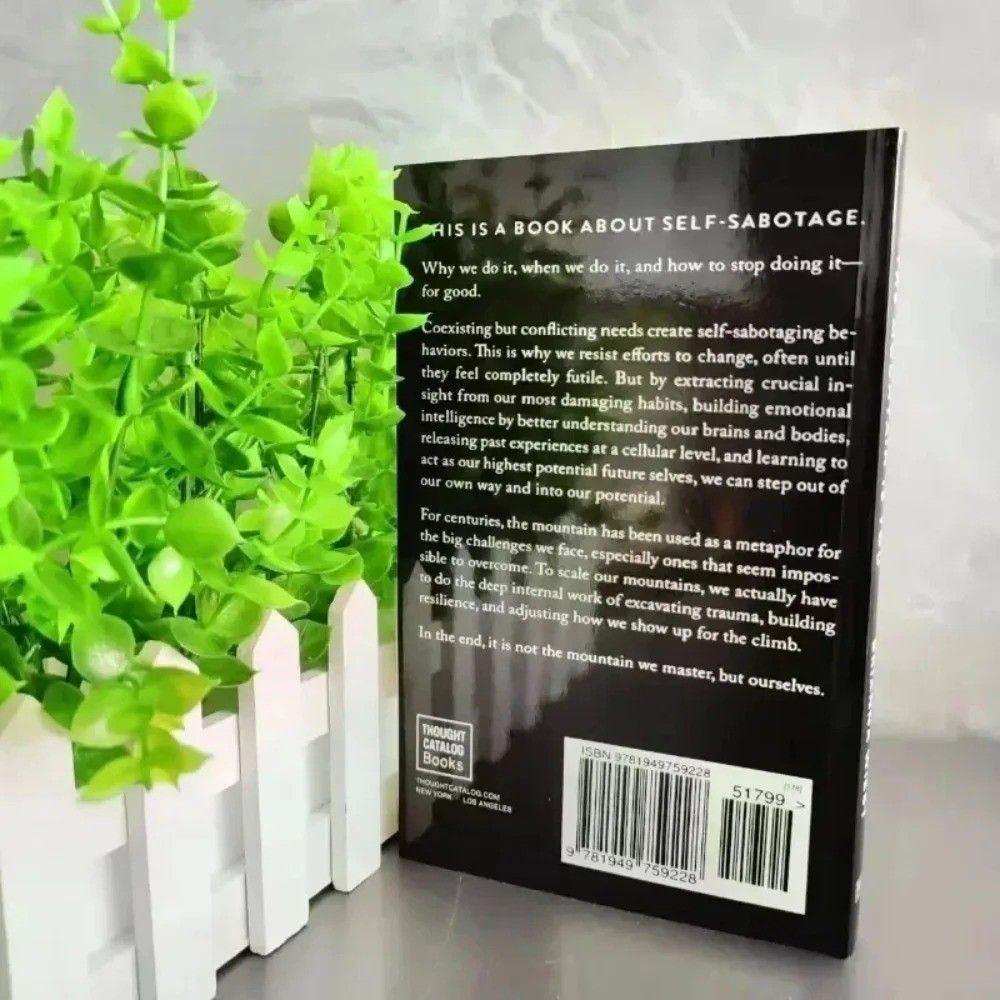 The Mountain Is You by Brianna Wiest Paperback Self-Help Book Free Shipping