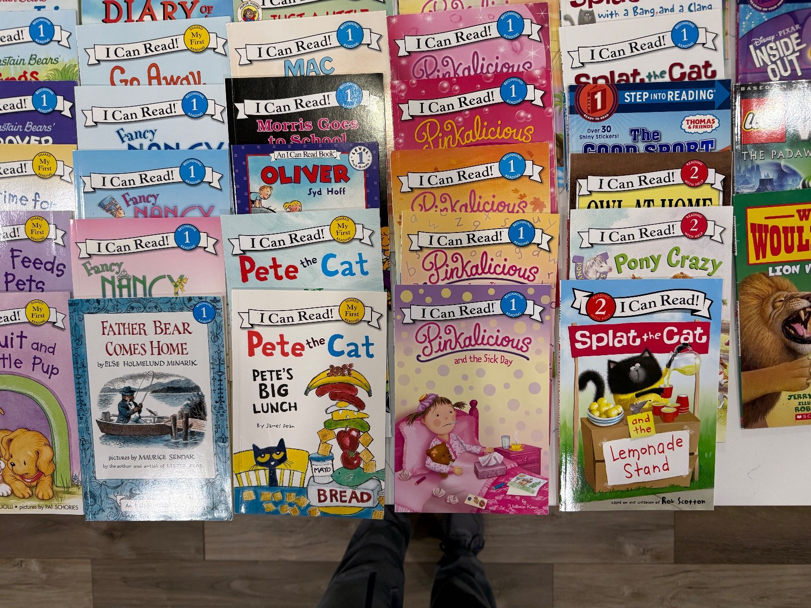 I Can Read Beginner Books Levels 1 ~ 48 Different Titles ~ You Choose