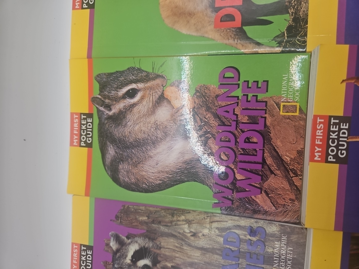 National Geographic My First Pocket Guides: Big Collection 11 Books science