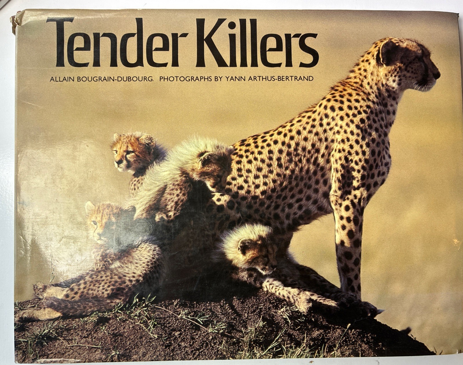 Tender Killers Hardcover The Vendome Press 116 Pages (21P)