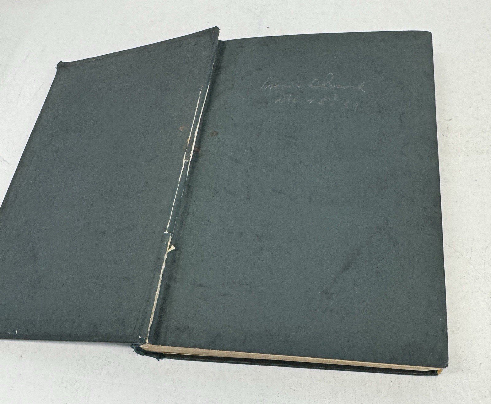 Tales of the Punjab Told by the People – Flora Annie Steel (1894)