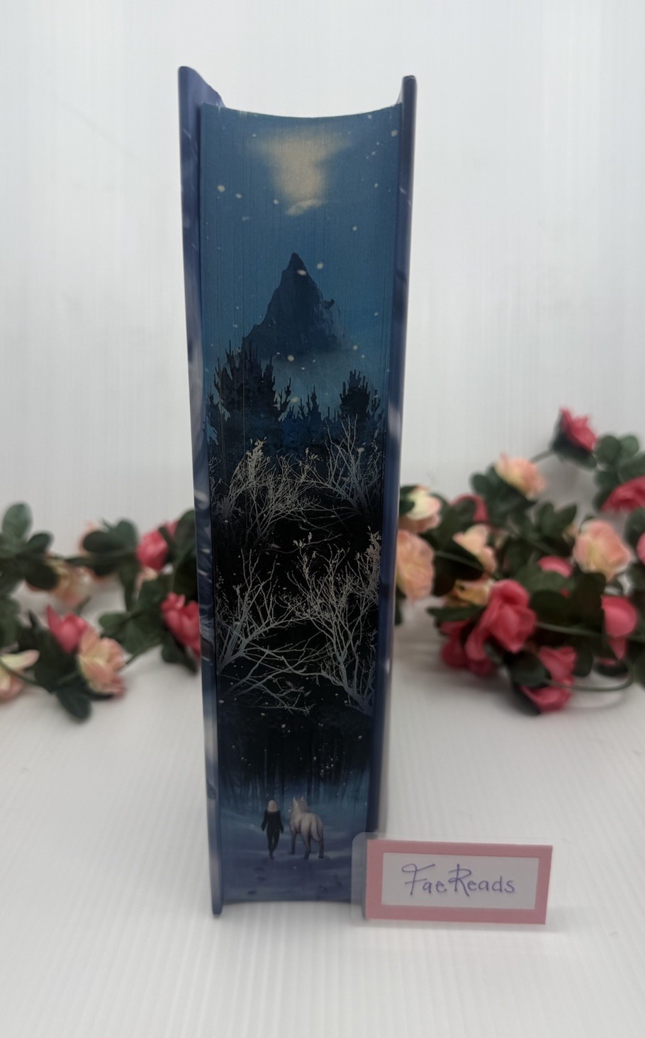 Direbound by Sable Sorensen (SIGNED AND BRAND NEW) Fairyloot