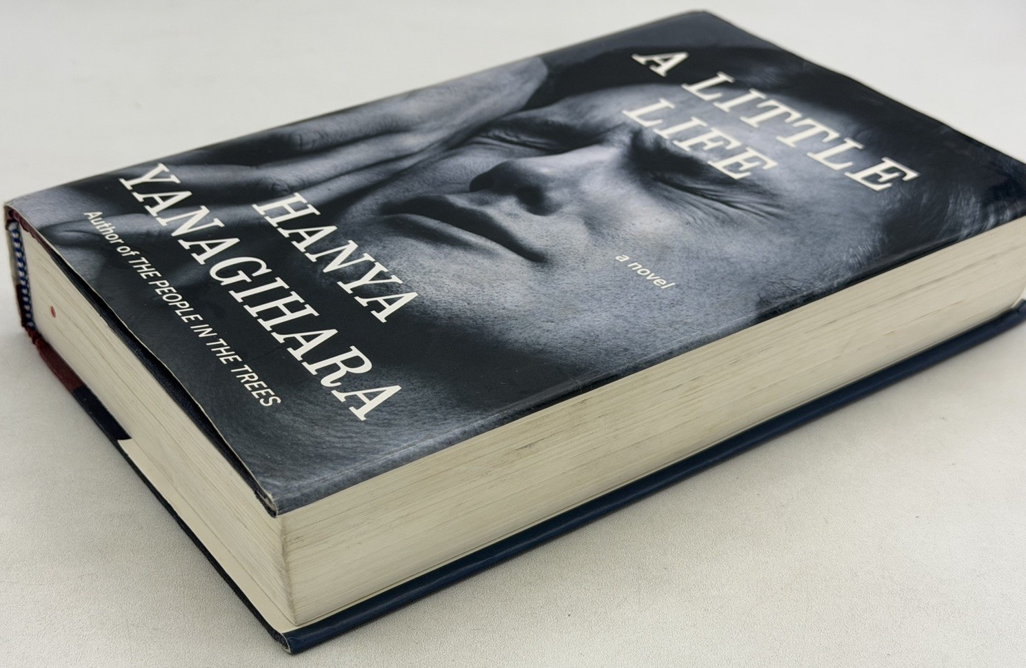 A Little Life by Hanya Yanagihara (2015, Hardcover) First Edition/Print, 1st/1st