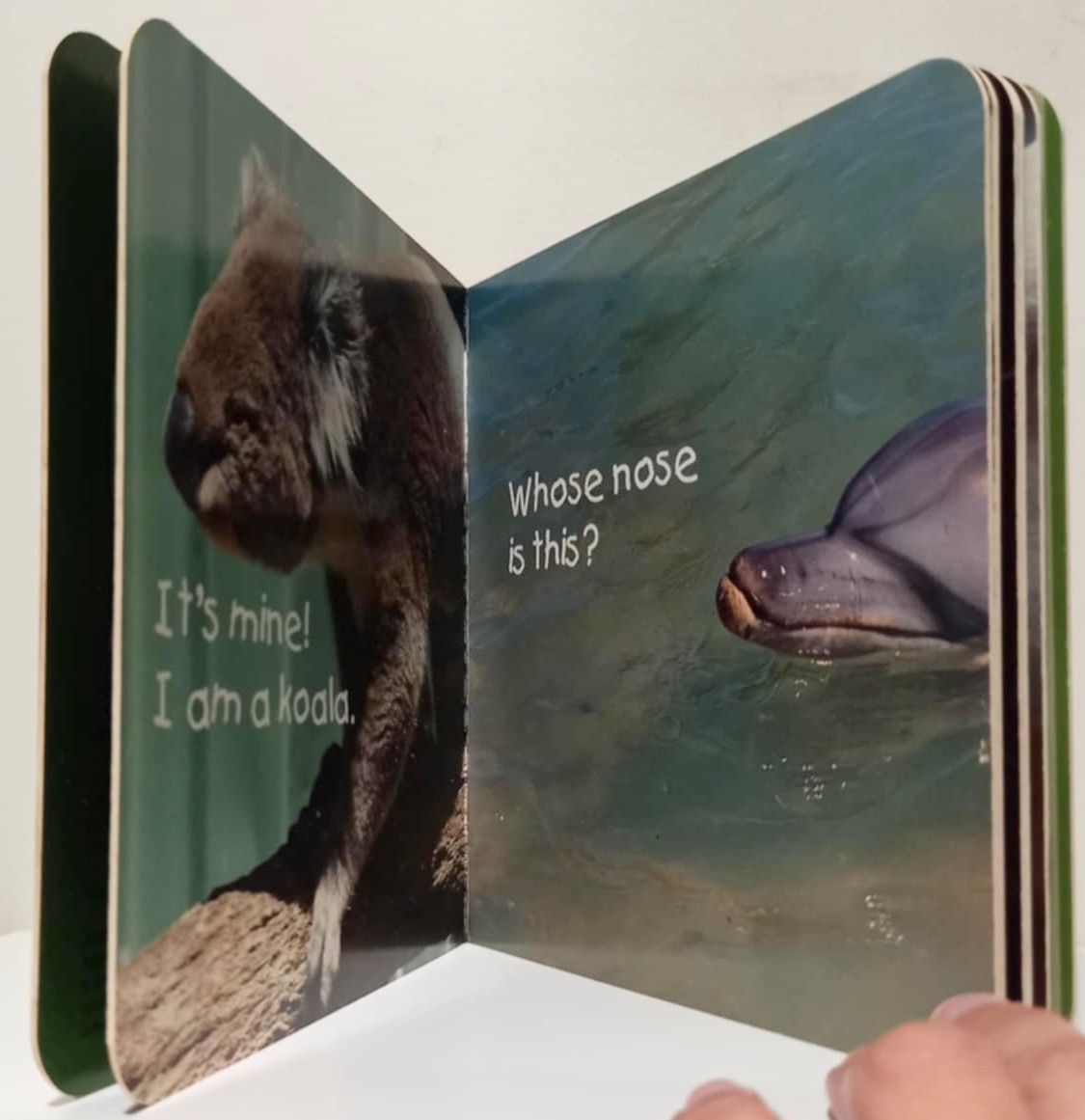 Whose Nose is this? – Board Book | Good Condition | Free Postage