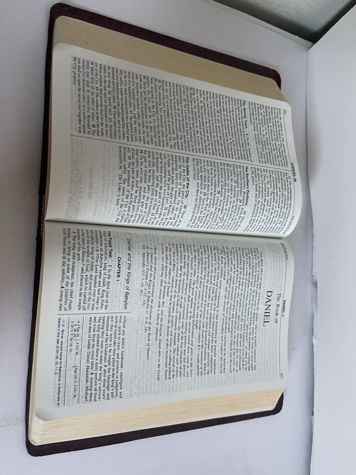 Bible NAB by Fireside Catholic Publishing 1994-1995 Edition Leather Bound