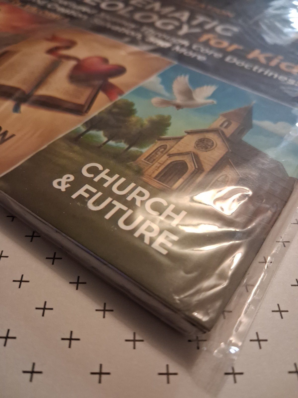 Systematic Theology for Kids: 52-Week Workbook Paperback Wirebound (2026) NEW