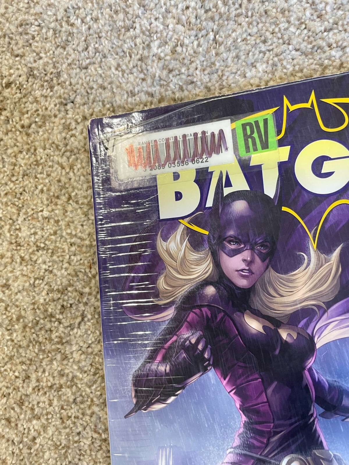 Batgirl: the Flood