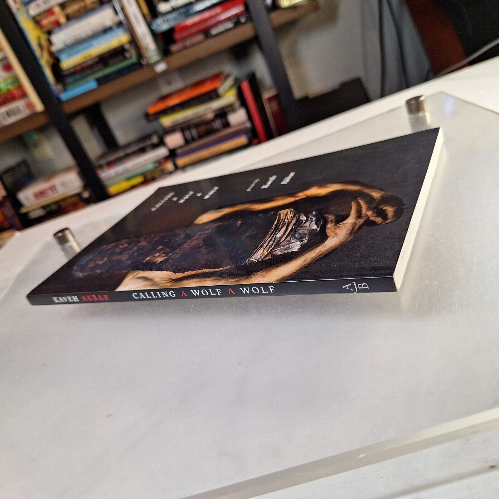 Calling a Wolf a Wolf, Paperback by Akbar, Kaveh