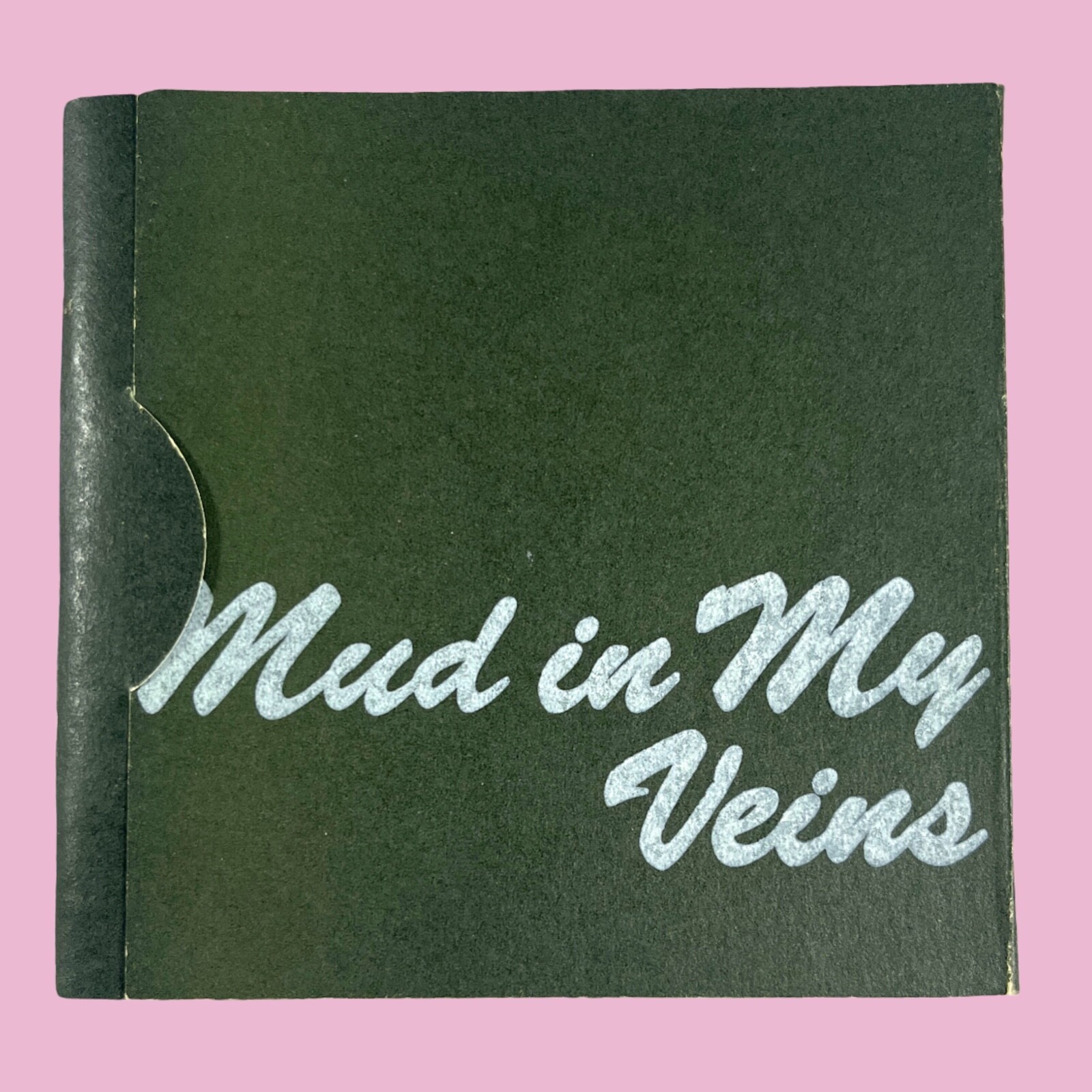 Amber Gayle- Mud In My Veins (1998) Evil Twin Publications Rare Zine See Photos