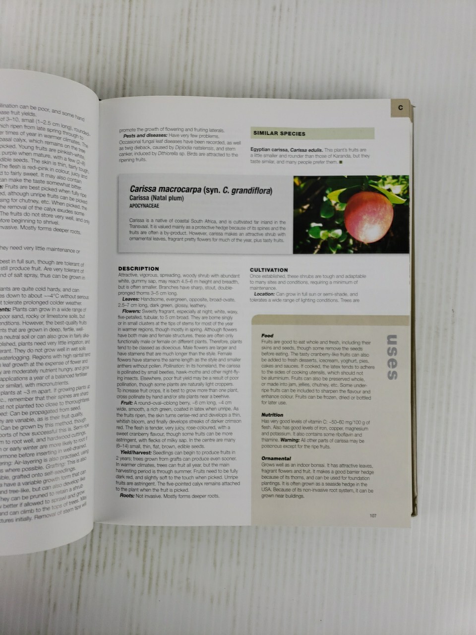 Fruit and Nuts : A Comprehensive Guide to the Cultivation, Uses and Health