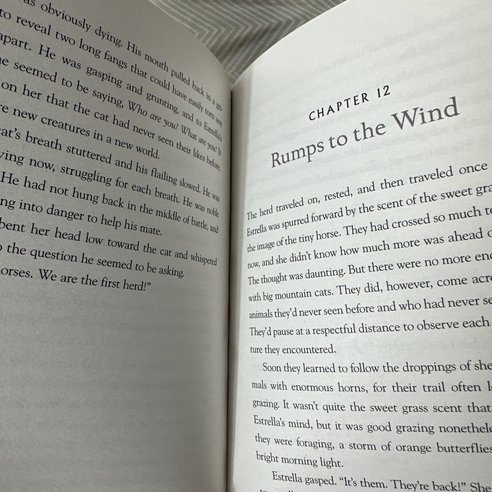 Horses of Dawn Series Kathryn Lasky First #1 The Escape 2014 1st Edition