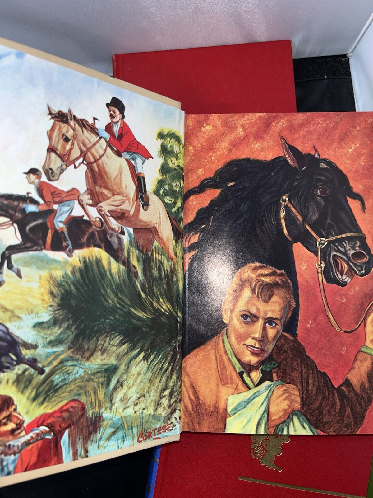 The CHILDREN’S CLASSICS HARDCOVER BOOKS VINTAGE SET OF 4
