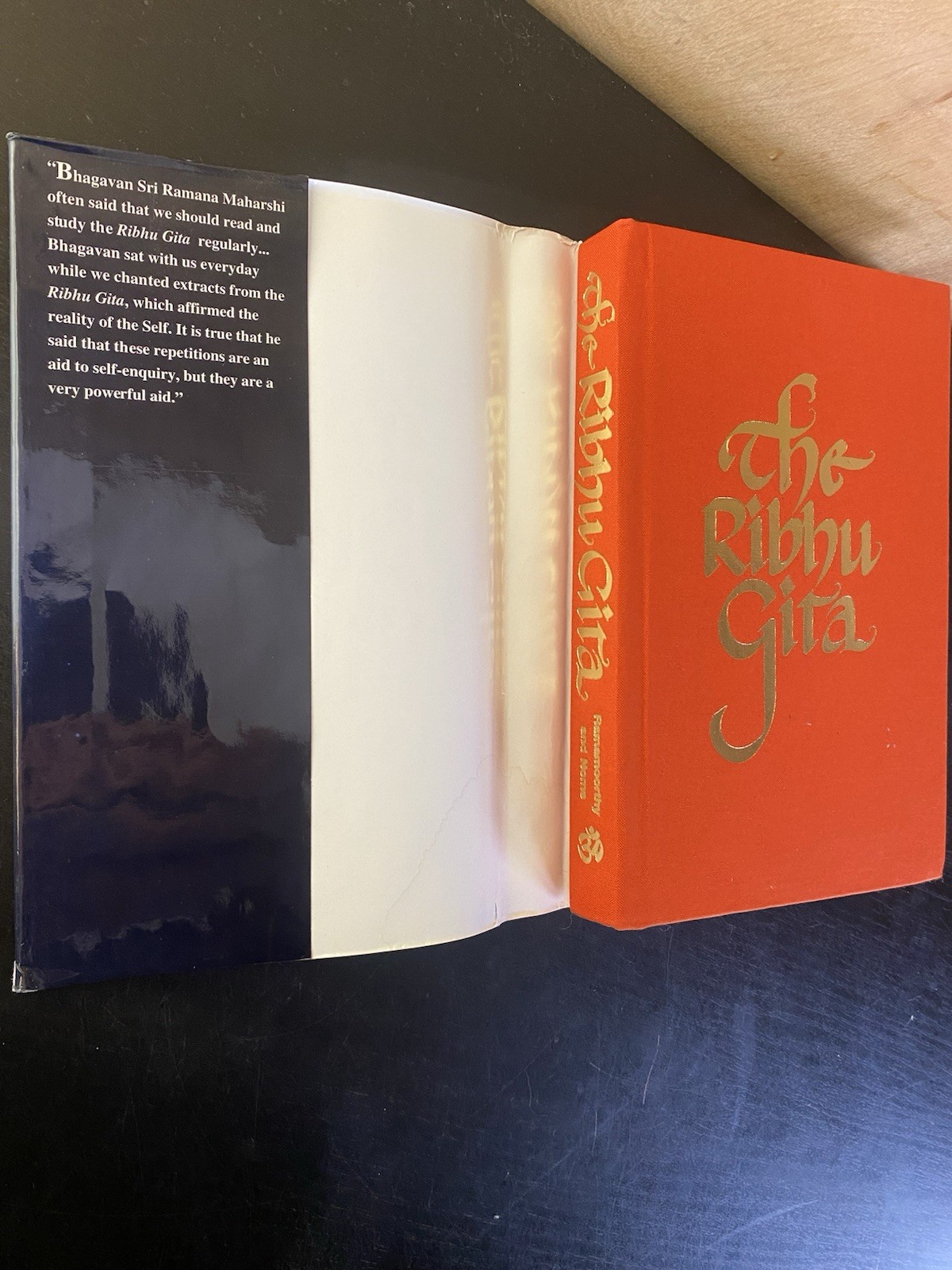 The Ribhu Gita: First English Translation from the Original Sanskrit HC