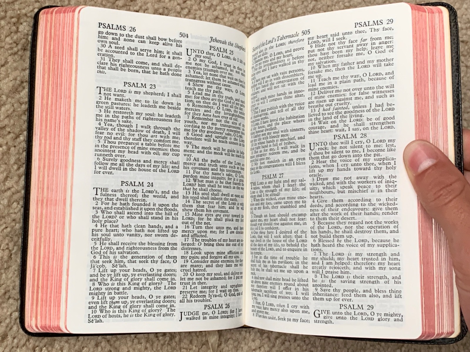 Bible world publishing company compact red letter 1950s 652 361 Morocco