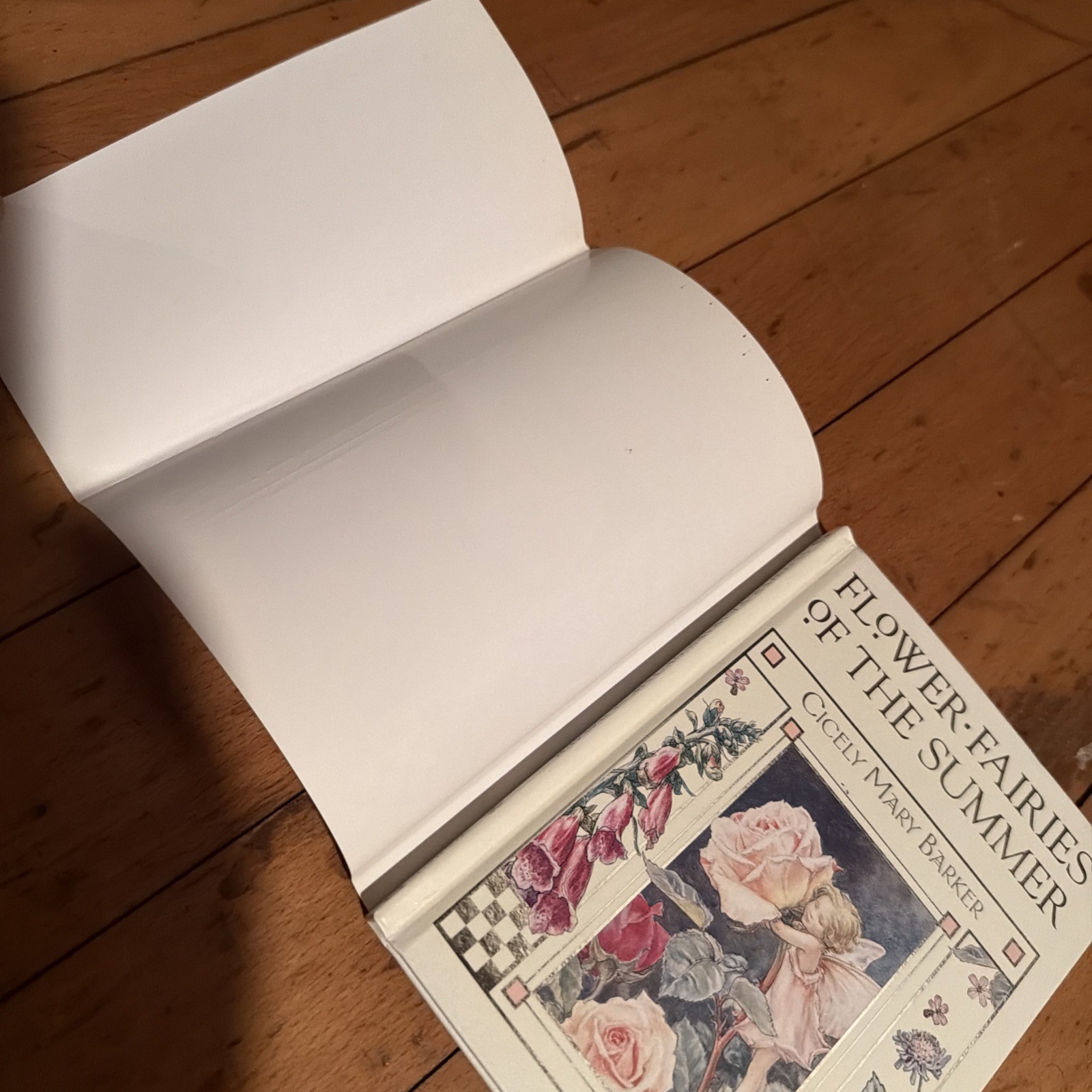 Flower Fairies Of The Summer Cicely Mary Barker 2002 HCDJ Frederick Warne
