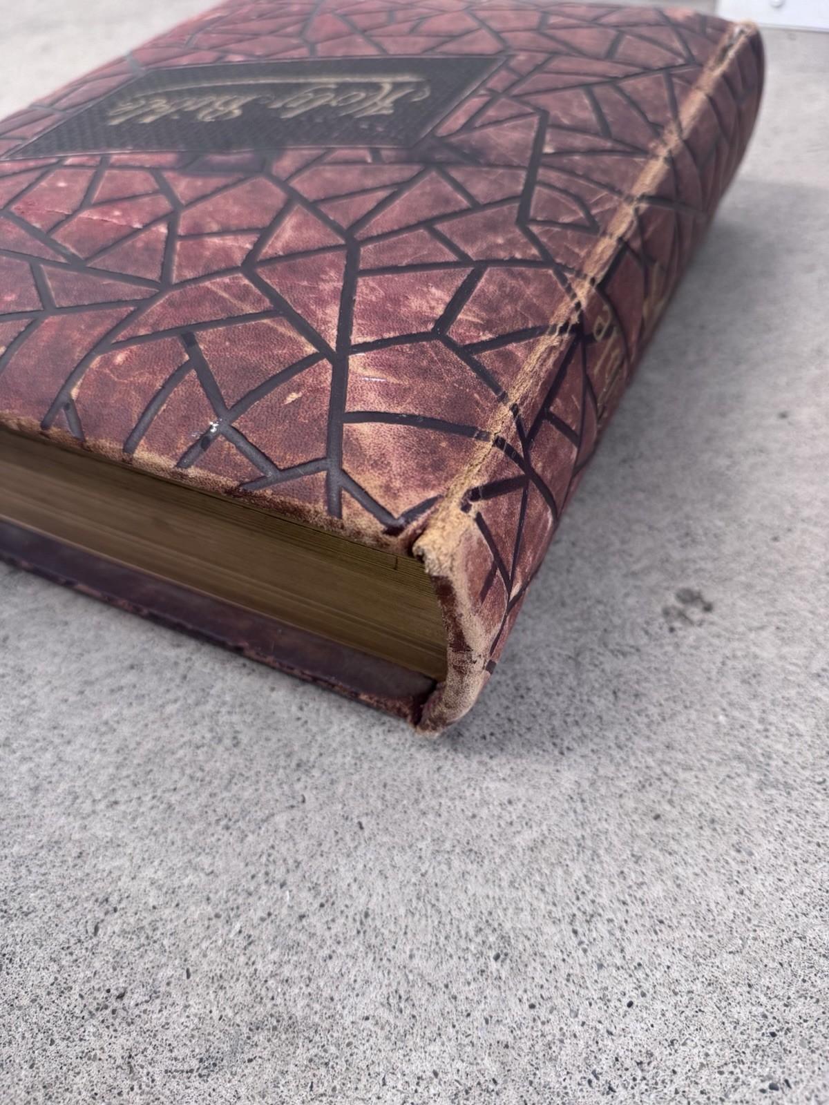 1800s Vintage Book Holy Bible Altemus Antique Leather Original