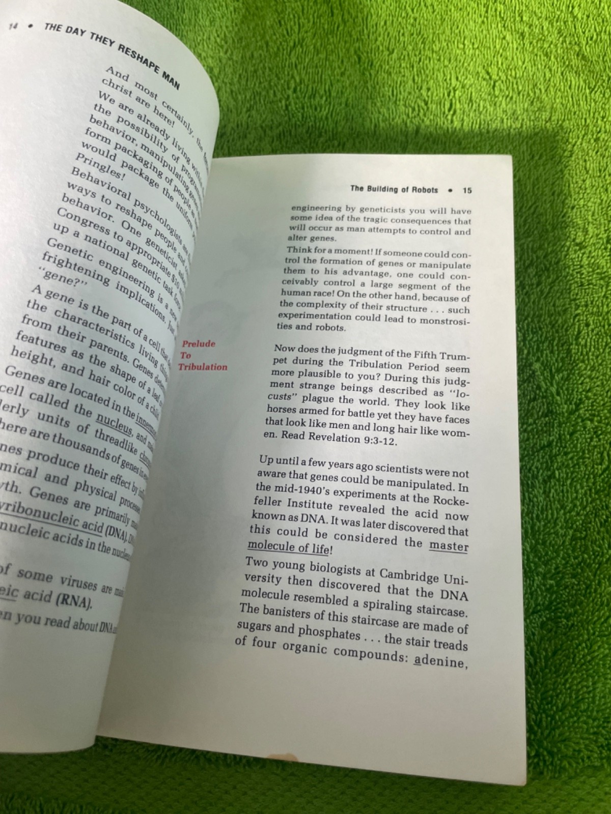 BOOK The Rise of the Anti-Christ SALEM KIRBAN paperback 1981
