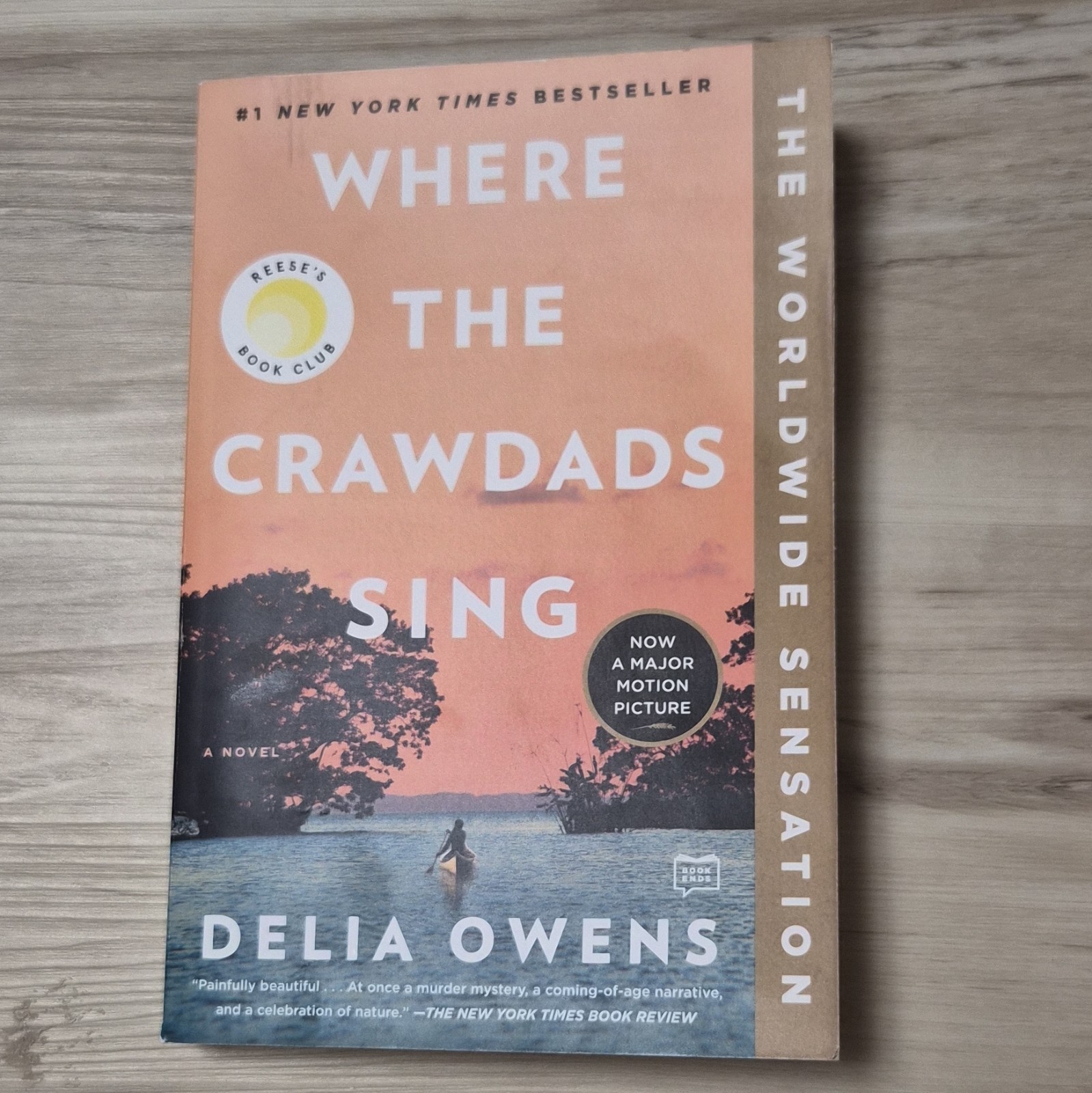 Where the Crawdads Sing: Reese’s Book Club – paperback Owens, Delia (Movie)