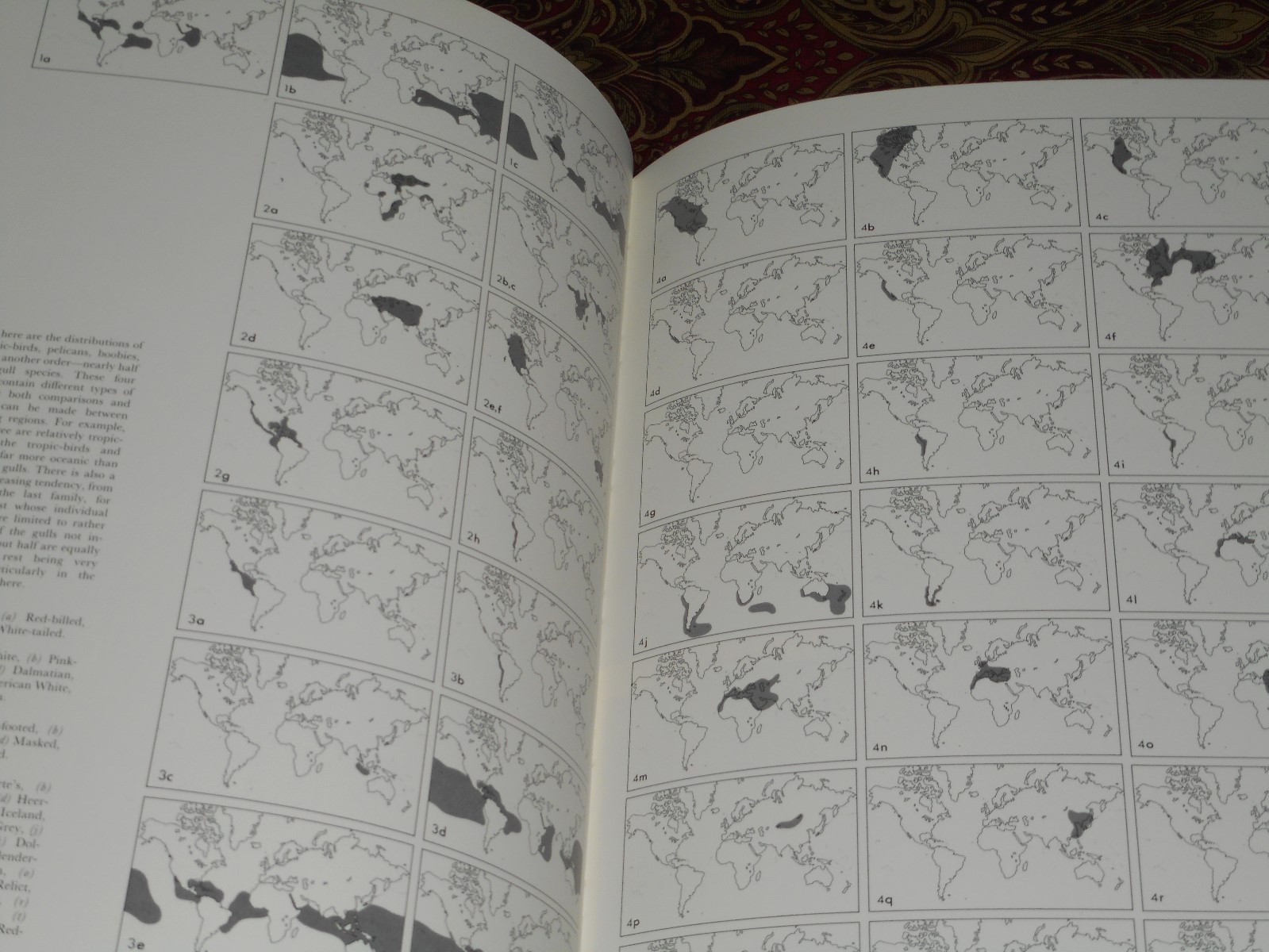 Ocean Birds Lars Lofgren 1984 HC/DJ 1st Edition Orinthology SEABIRDS Textbook
