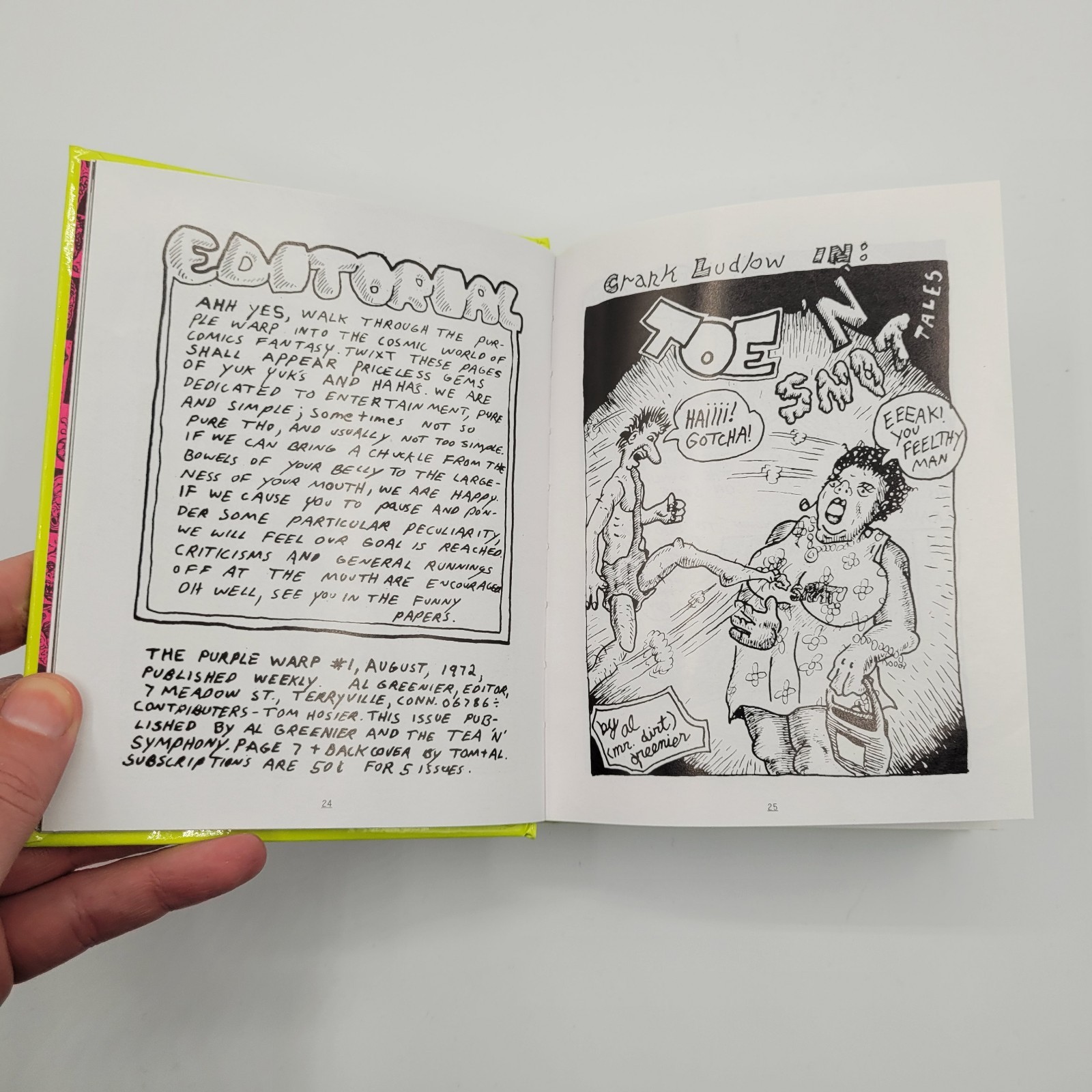 NEWAVE! Underground mini comix of the 1980s HC Fantagraphics Comics