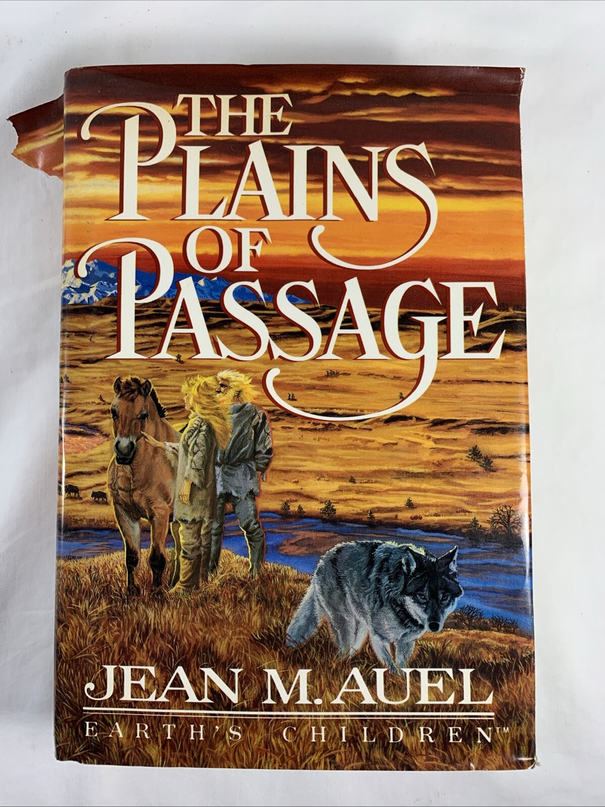 Earth’s Children Ser.: The Plains of Passage by Jean M. Auel (1990, Hardcover)
