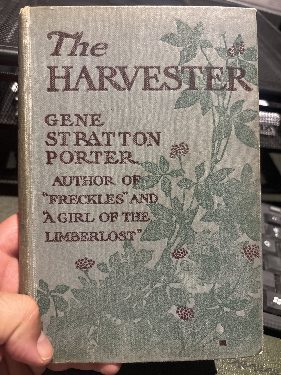 VINTAGE 1910s The Harvester by Gene Stratton-Porter (HodStou)