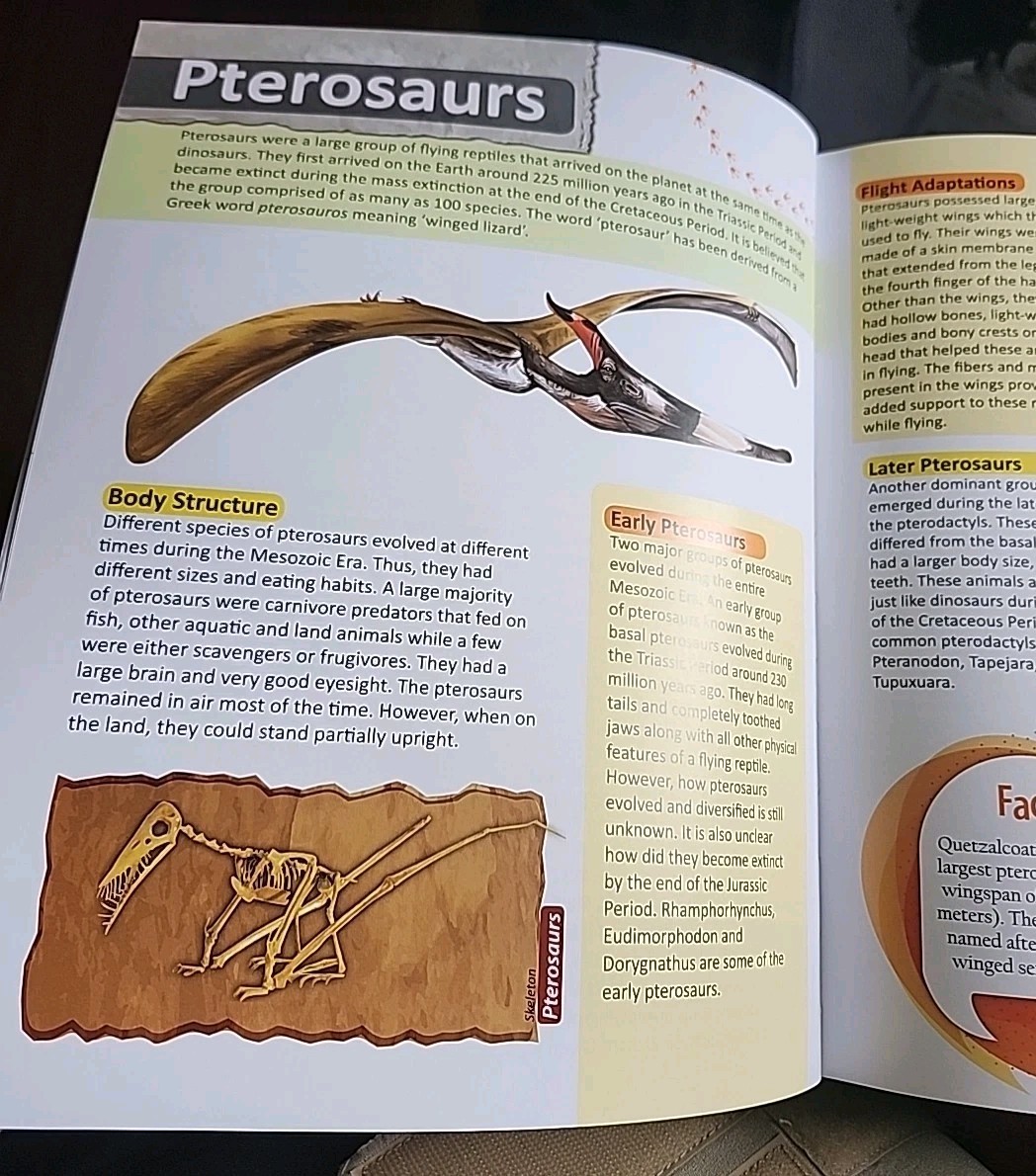 Childrens Encyclopedia of Dinosaurs Hard Cover Vision St Publishing Educational