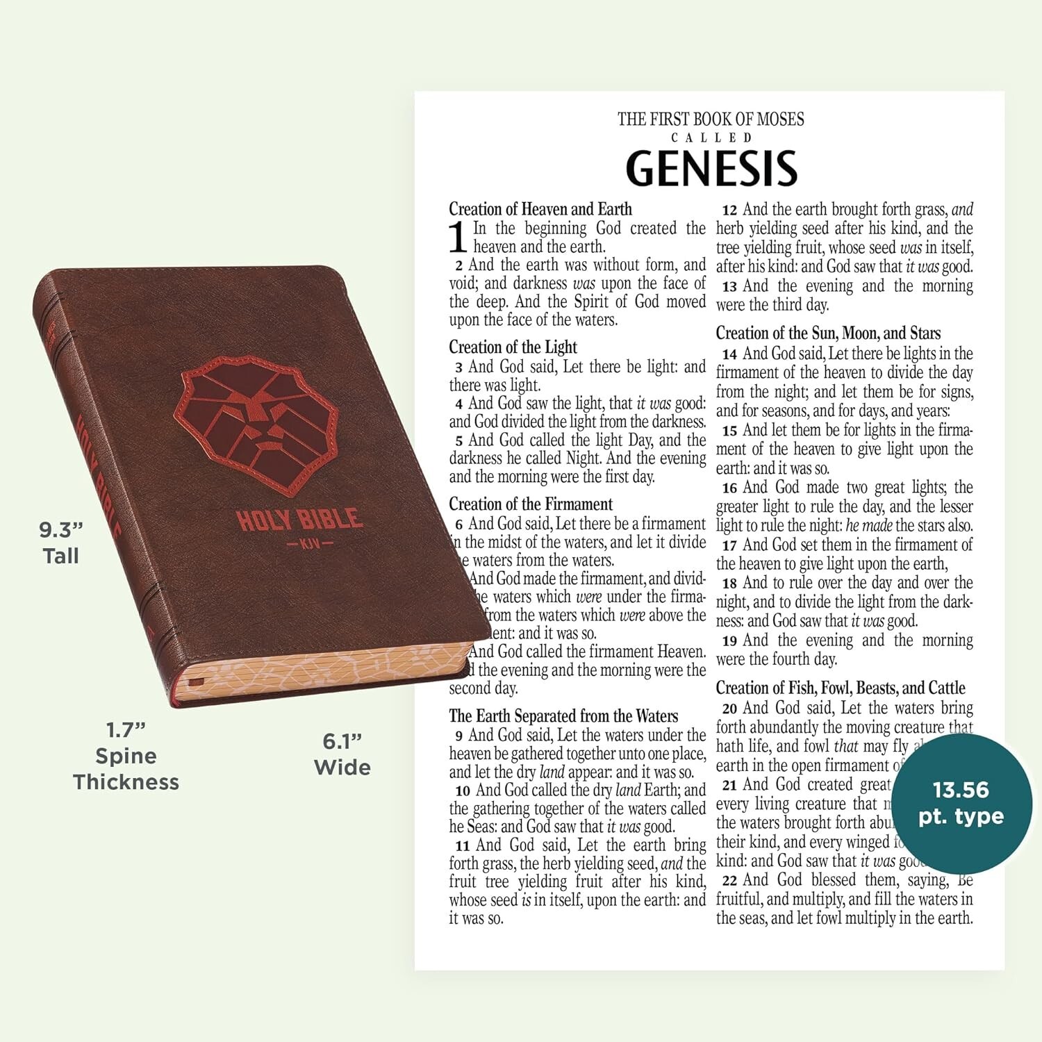 KJV Kids Bible, LARGE PRINT 40 Pages Full Color Study Helps, Presentation INDEX