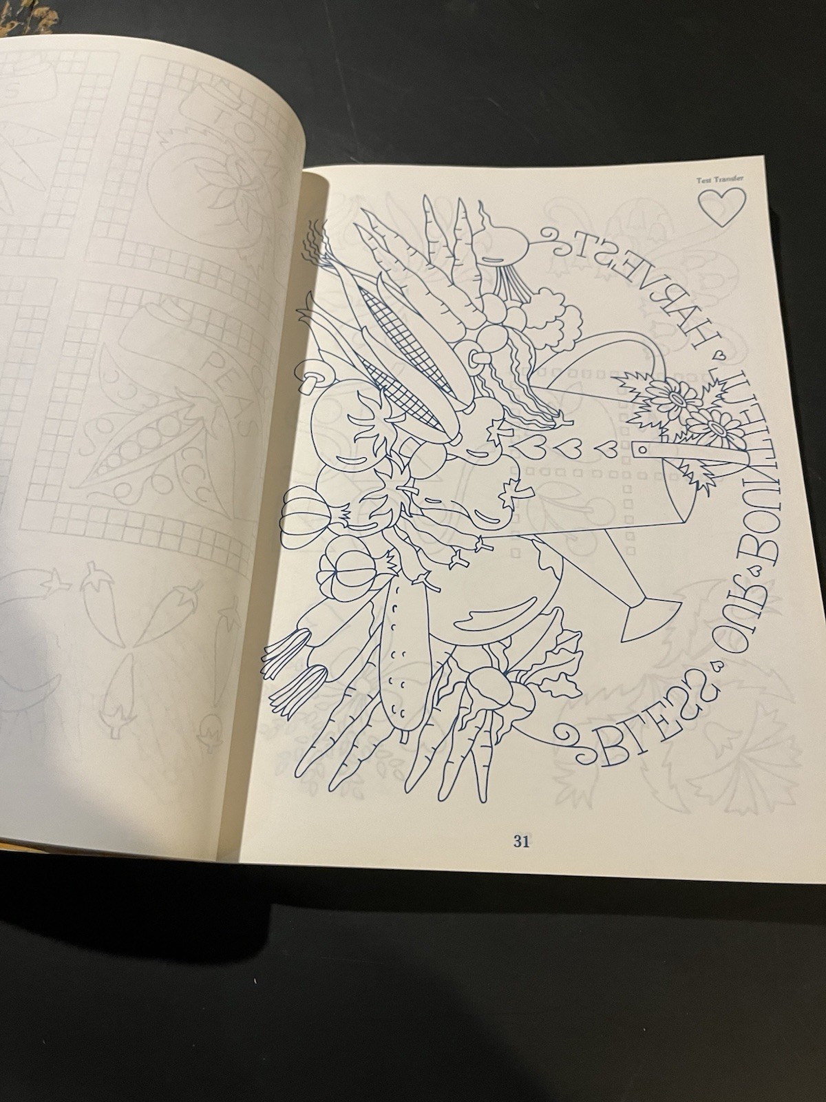 Book of Iron-on Transfers