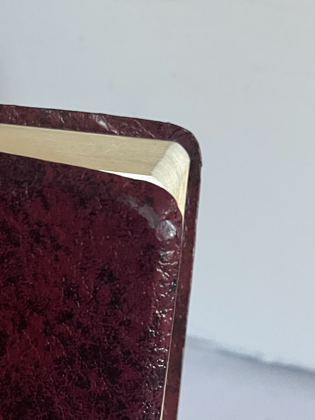 Bible NAB by Fireside Catholic Publishing 1994-1995 Edition Leather Bound