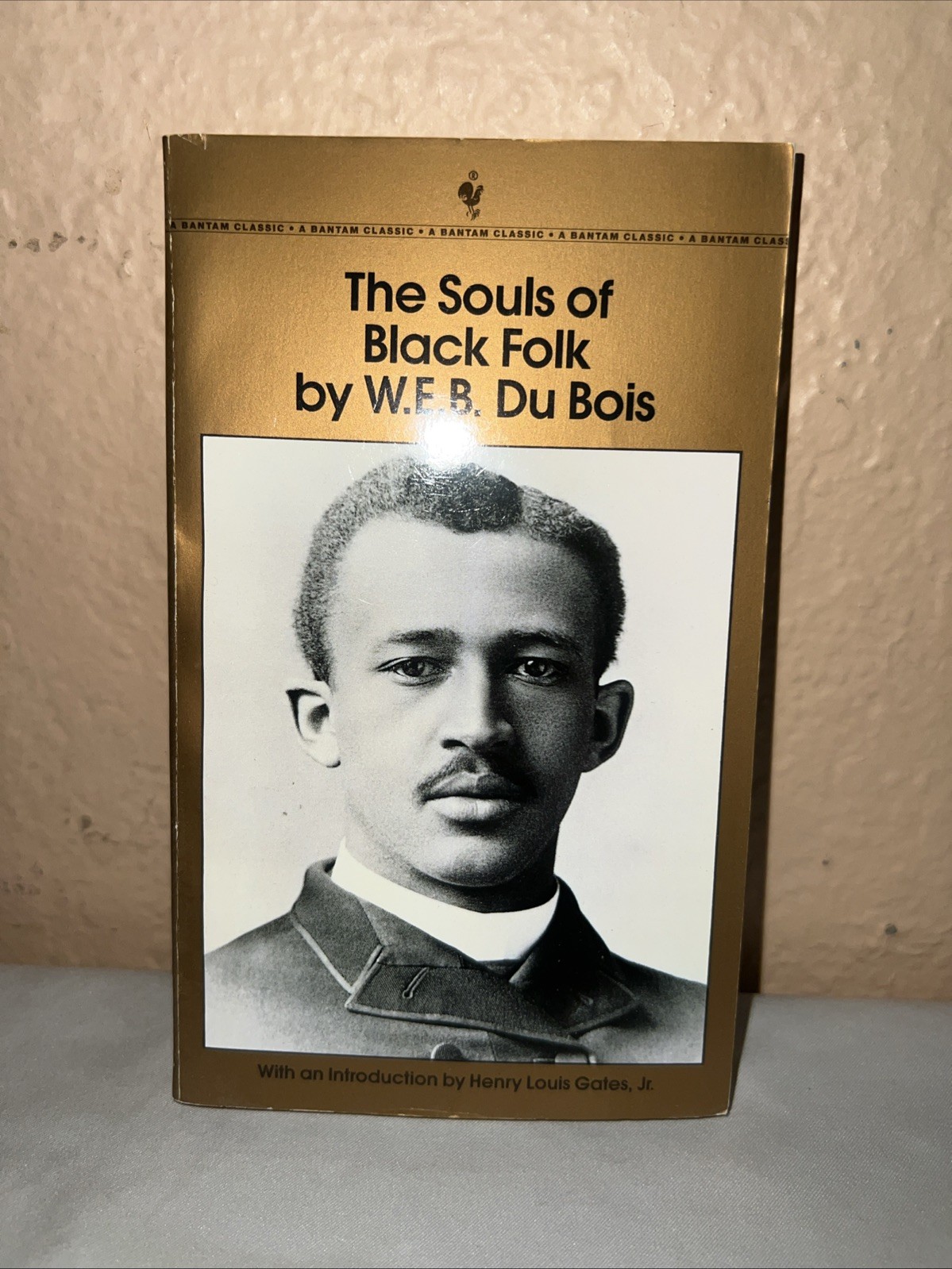 Vintage The Souls of Black Folk by W. E. B. Du Bois Trade Paperback VERY GOOD