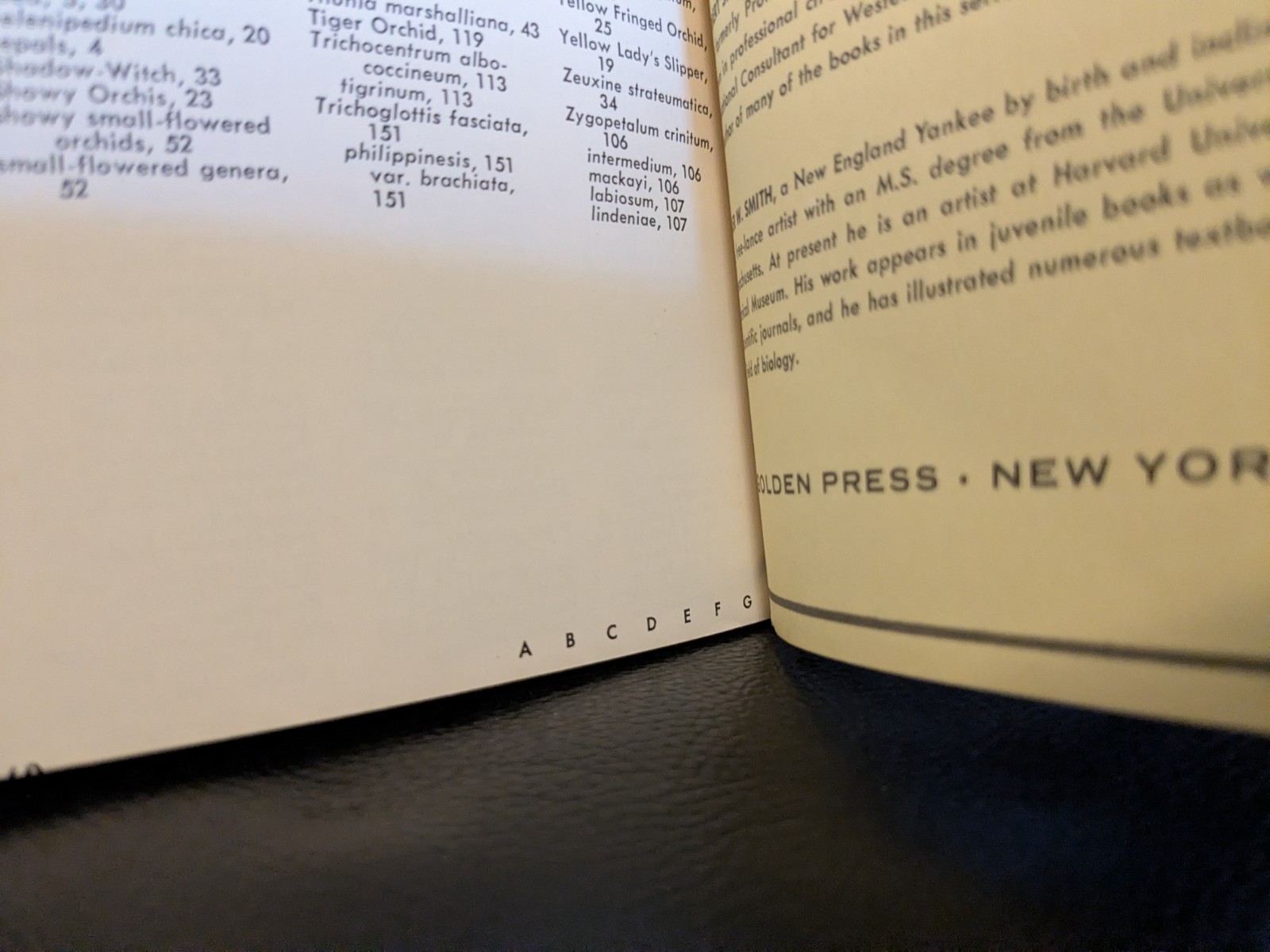 FIRST EDITION! Orchids — A Golden Guide