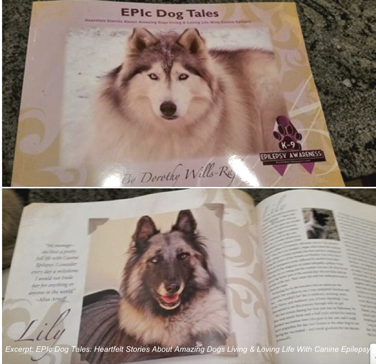 EPIc Dog Tales – Coffee Table Reference Book About Dogs With Canine Epilepsy
