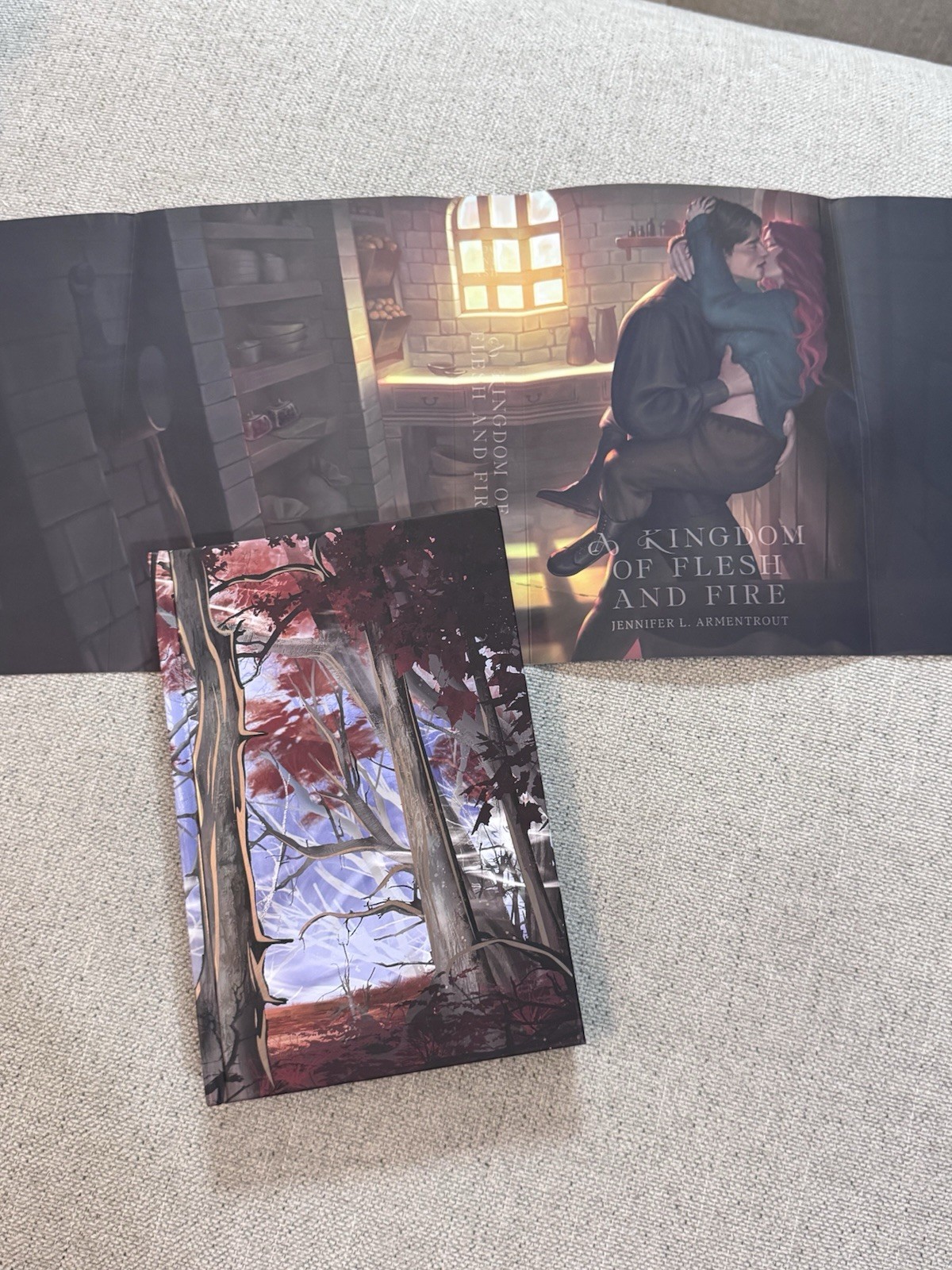 Blood And Ash Series Jennifer L Armentrout Signed Books For Days Crate BFDC New