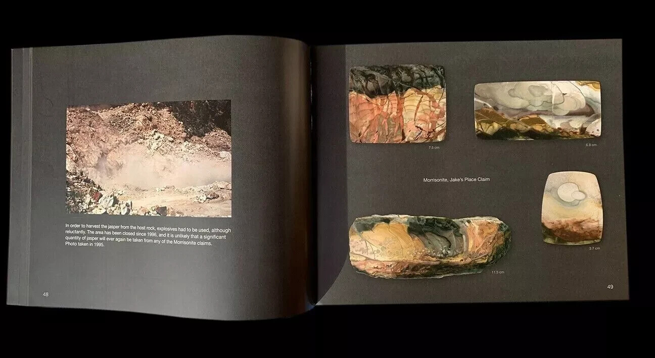 Picture Jaspers from the Northwest – Authors Hans Gamma and Lauritz Jensen
