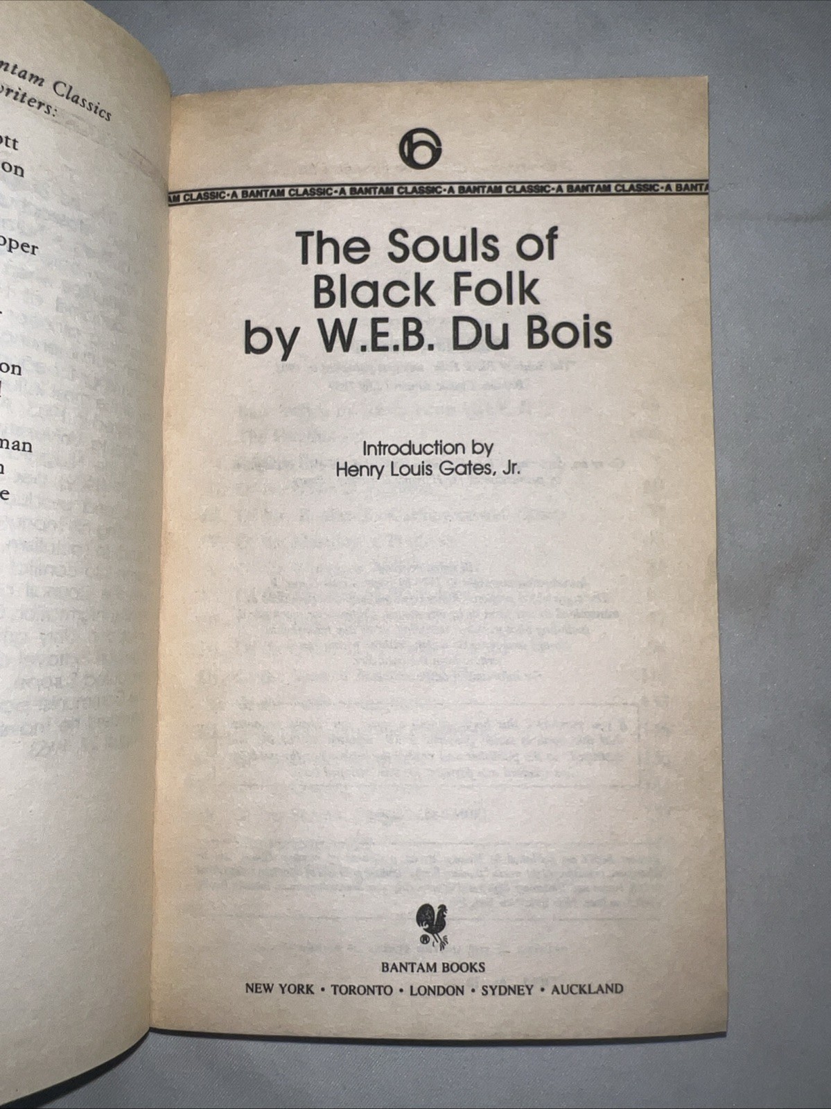 Vintage The Souls of Black Folk by W. E. B. Du Bois Trade Paperback VERY GOOD