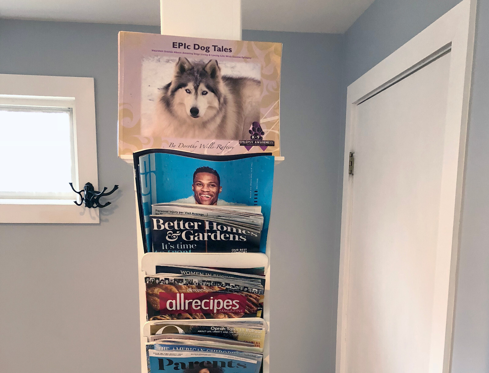 EPIc Dog Tales – Coffee Table Reference Book About Dogs With Canine Epilepsy