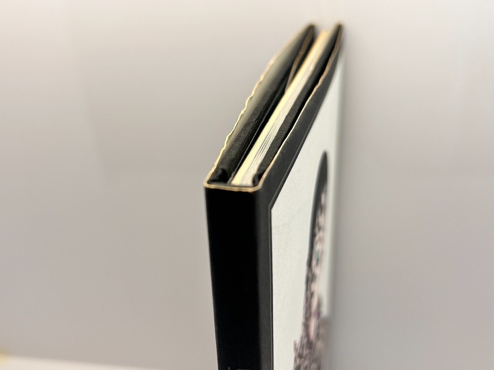 SERGE LUTENS : Photo Book Hardcover French Japanese
