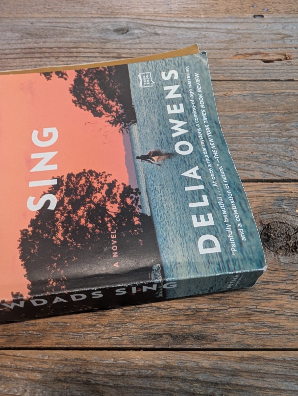 Where the Crawdads Sing: Reese’s Book Club by Delia Owens (2021, Trade…