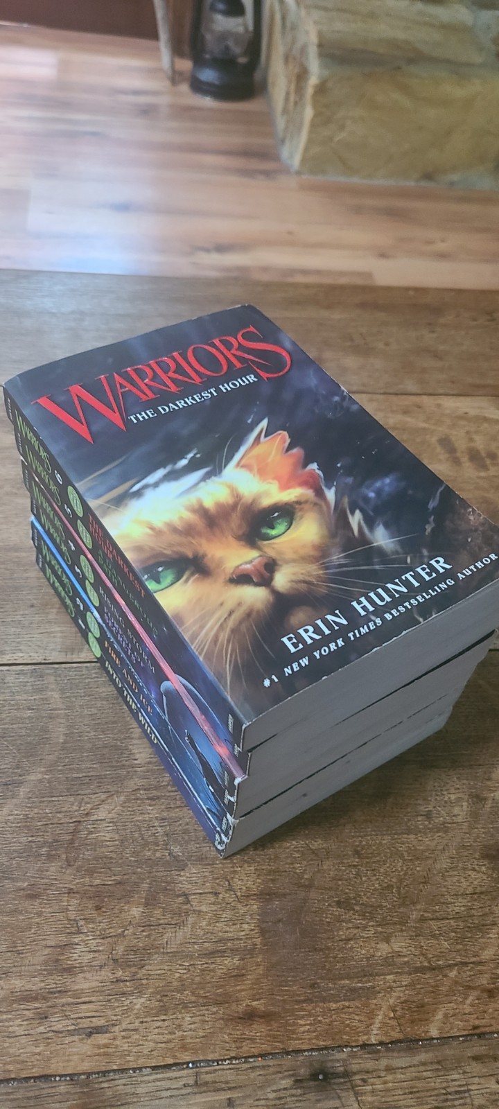 Warriors The Prophecies Begin Complete First Series Books 1 – 6 by Erin Hunter