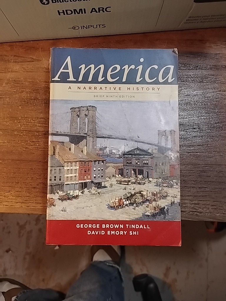 America : A Narrative History Paperback George Brown, Shi, David