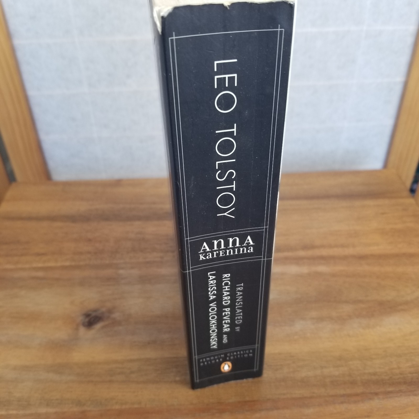 Anna Karenina Paperback Soft Cover Leo Tolstoy 800+ Pages Y2K Edition