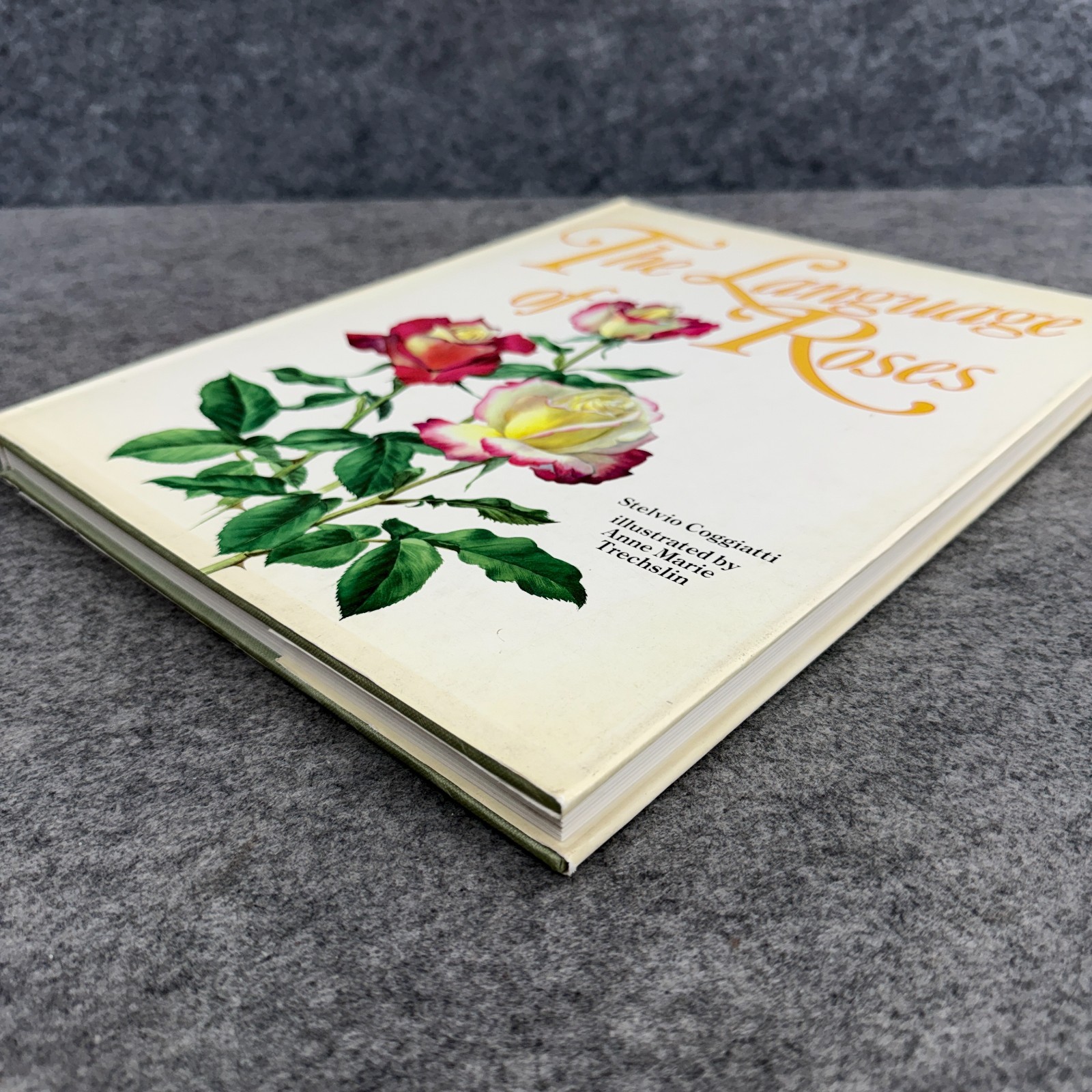 Language of Roses 1986 Stelvio Coggiatte Color Illustrations HC Illustration