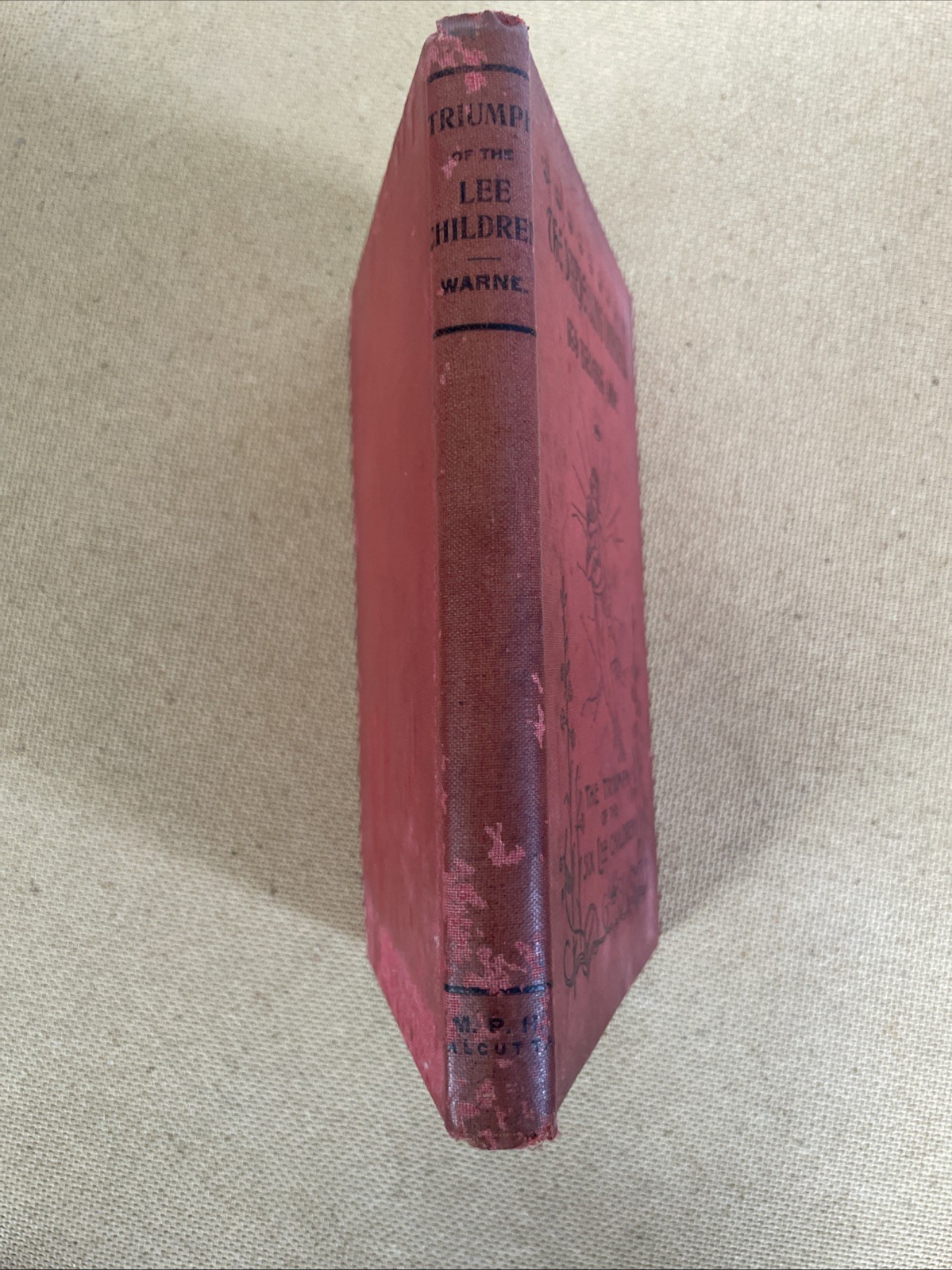 The Darjeeling Disaster: Its Bright Side Rev F W Warne 1900 Hardback 1st Ed