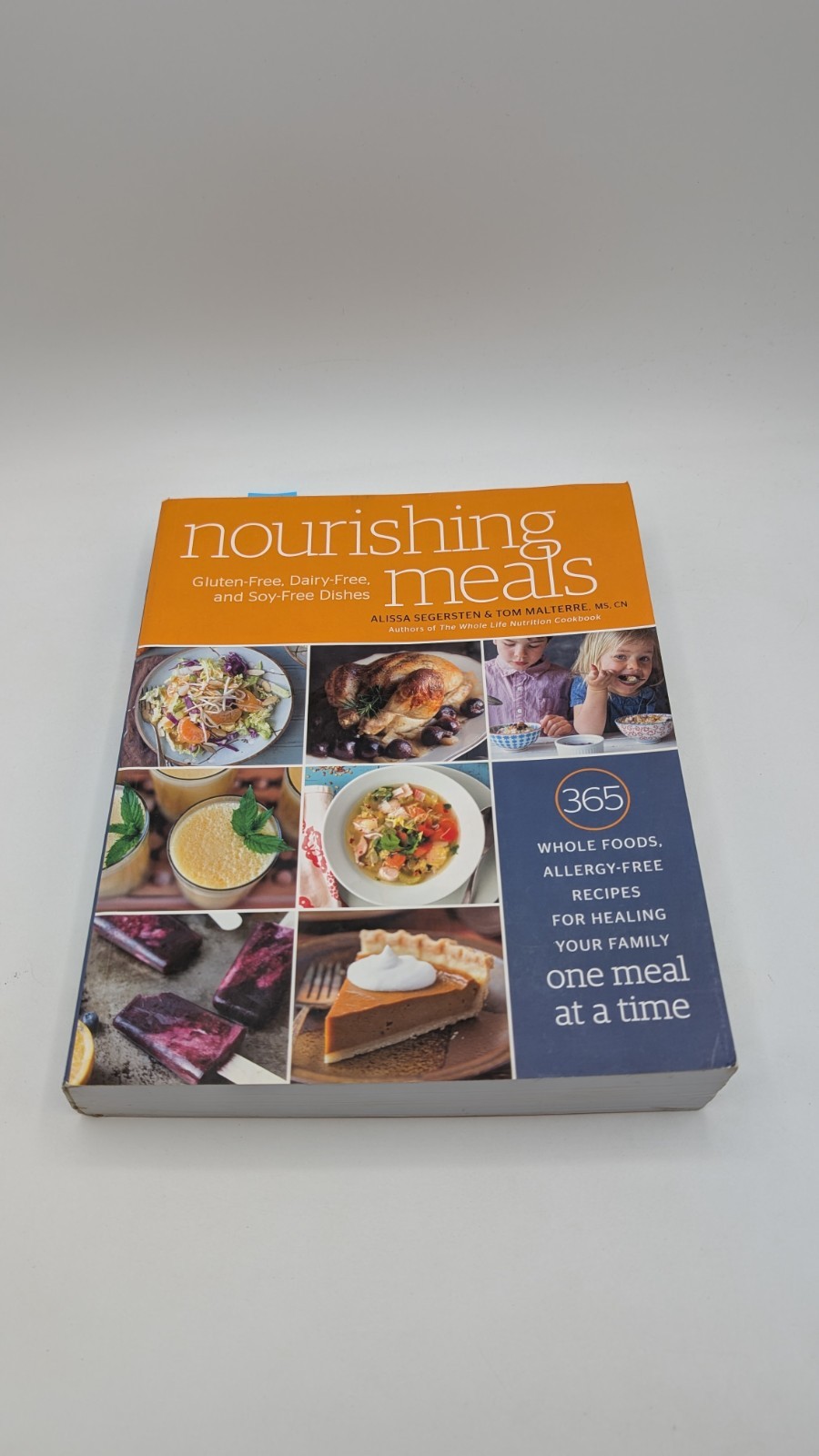 Nourishing Meals : 365 Whole Foods, Allergy-Free Recipes for Healing Your Family